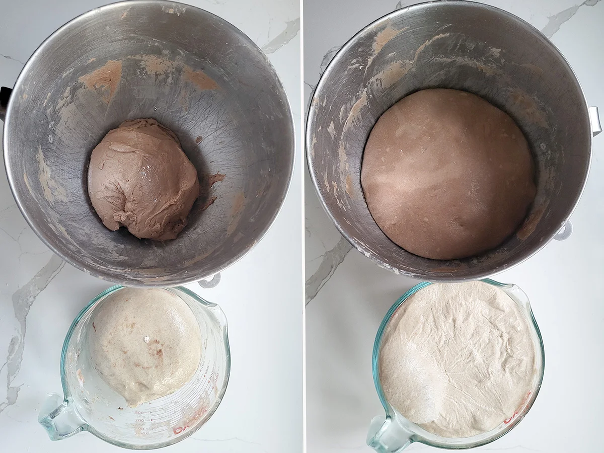 A metal bowl with dark bread dough and a glass bowl with light bread dough.