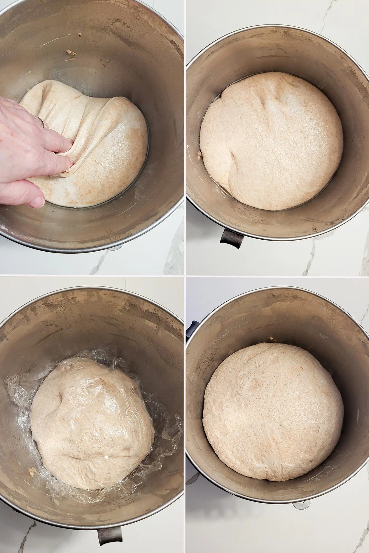 Four bowls of whole wheat sourdough bread.