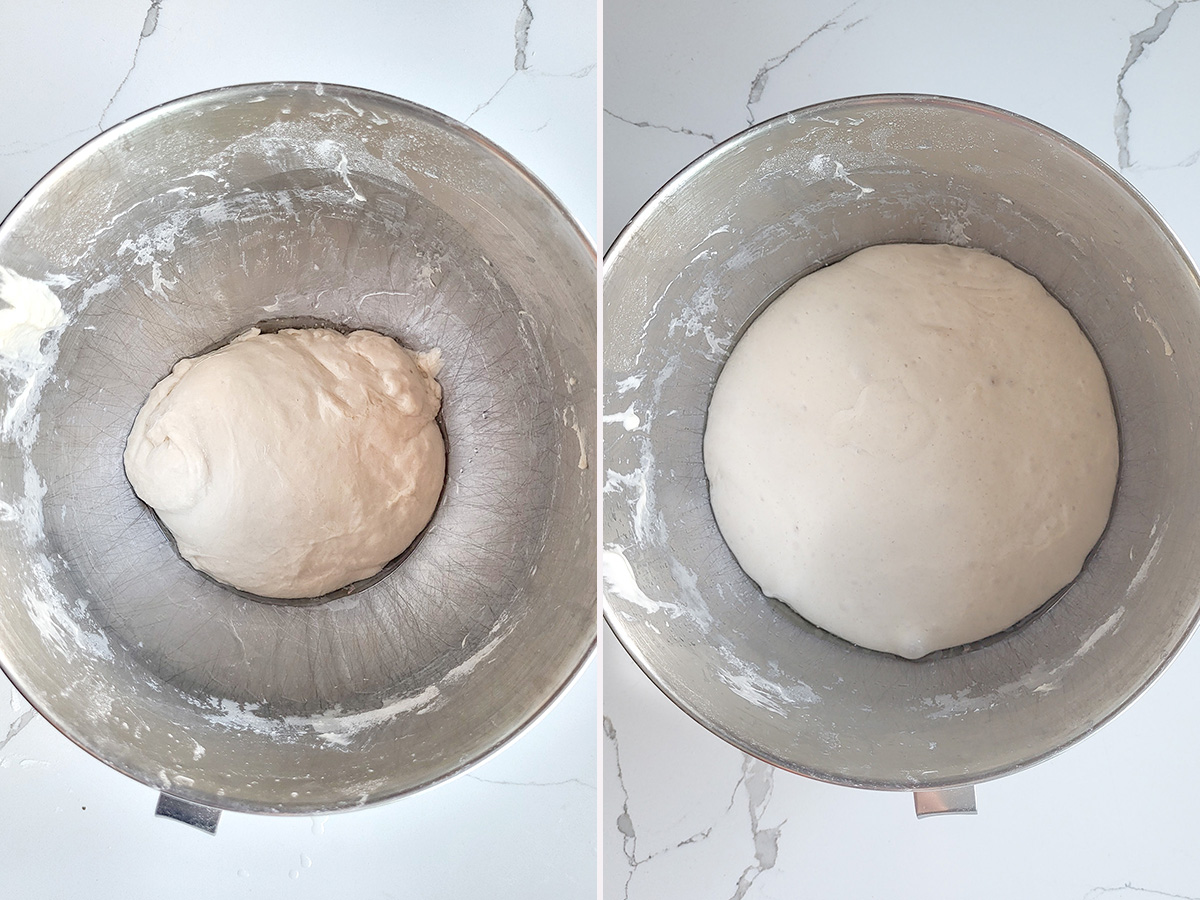 ciabatta dough before and after rising.