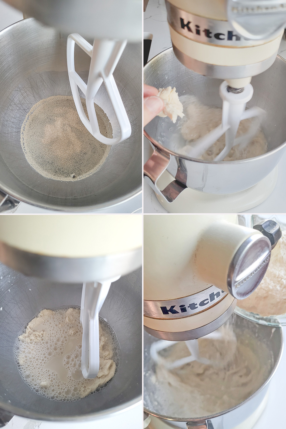 yeast, water and biga in a mixing bowl.