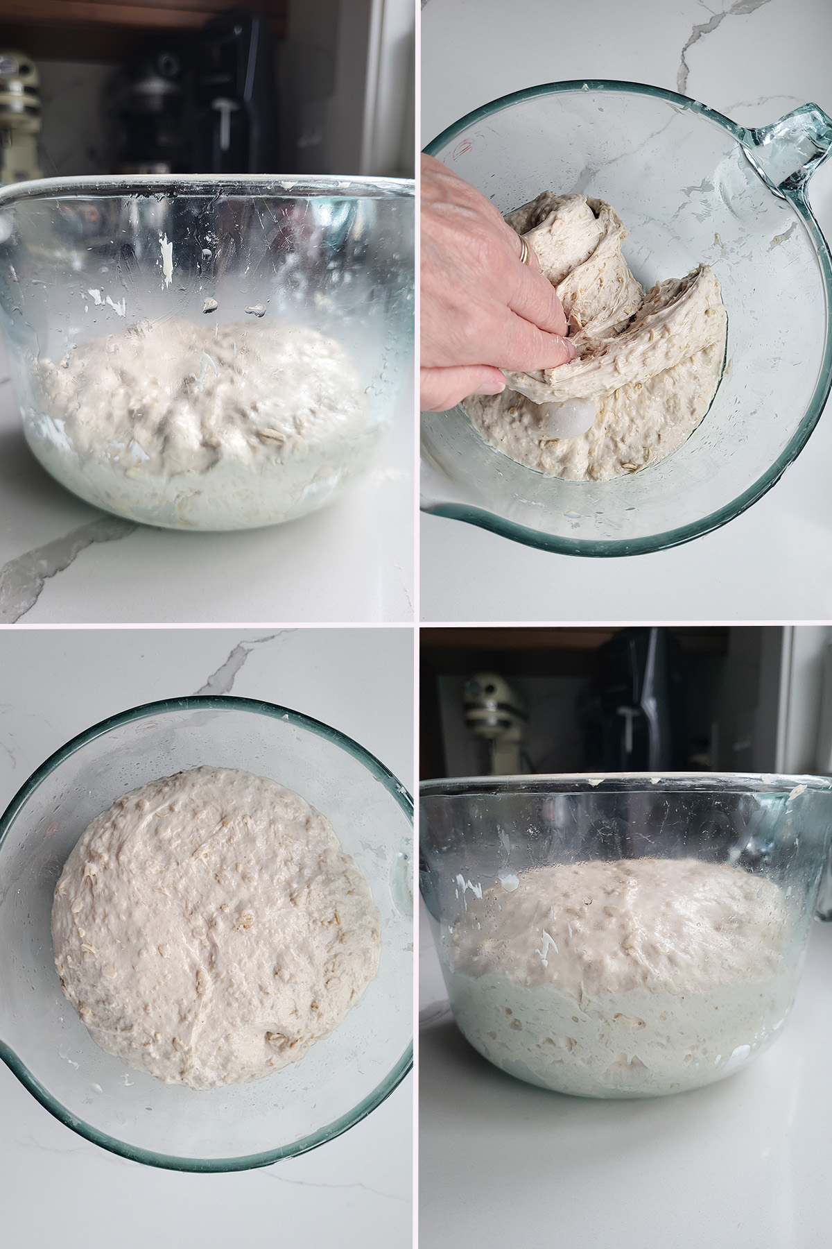 folding sourdough oatmeal bread in a glass bowl.