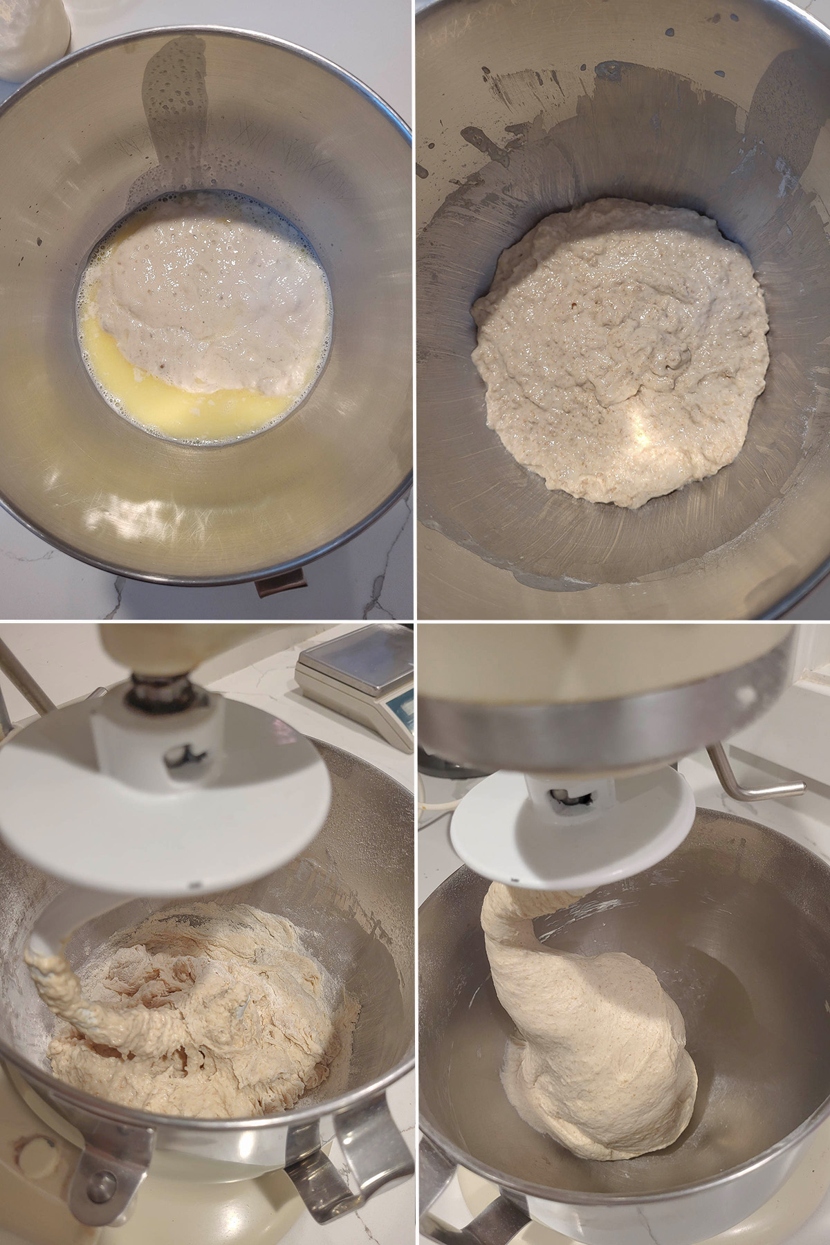 sourdough starter in a bowl. A bowl with dough hook and bread dough.