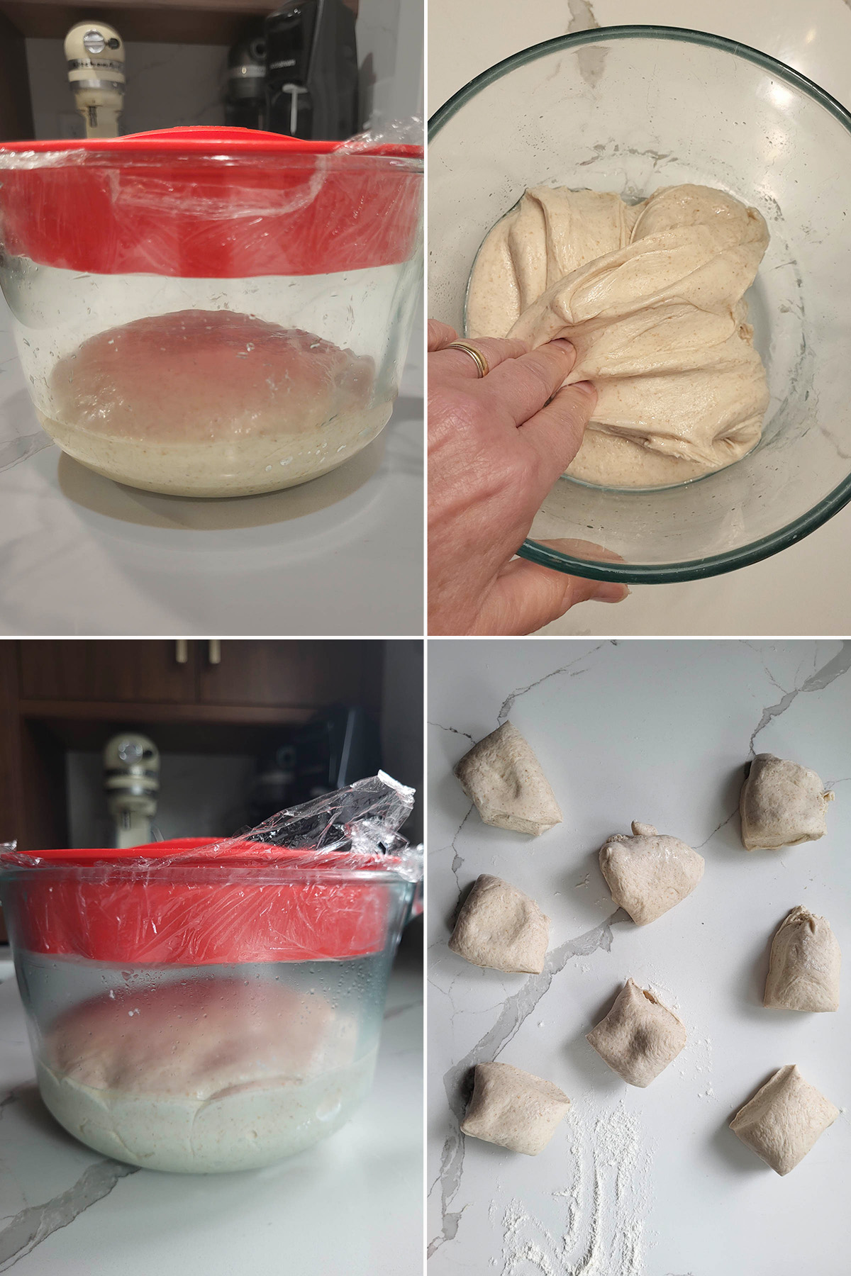 a bowl filled with sourdough bread dough. 8 pieces of sourdough bread dough on a white surface.