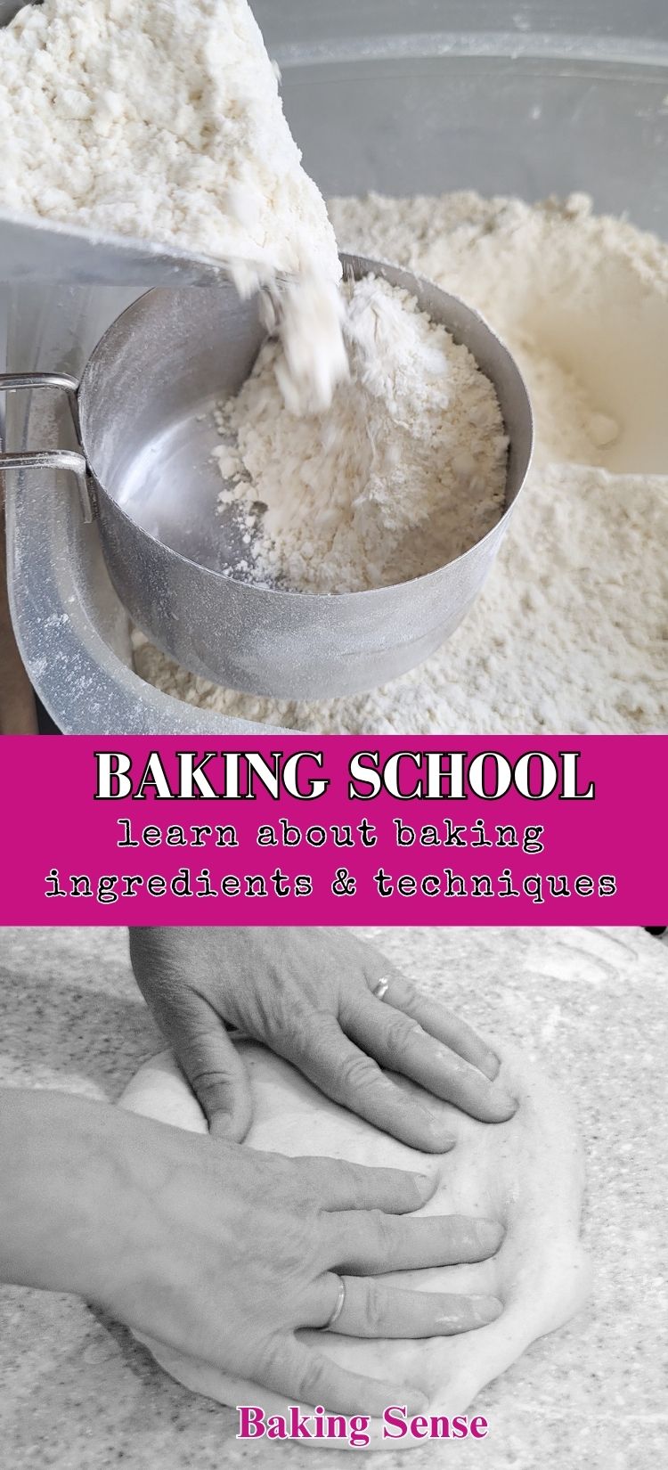 Cake Recipe Science - Baking Sense®