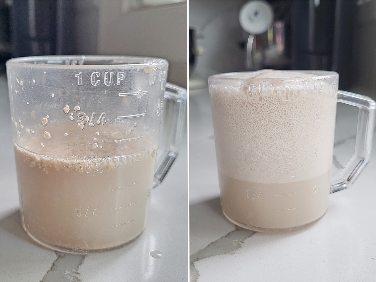 two cups of yeast and water before and after proofing.