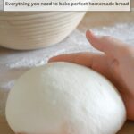 a pinterest image for bread baking fermentation guide with text overlay.