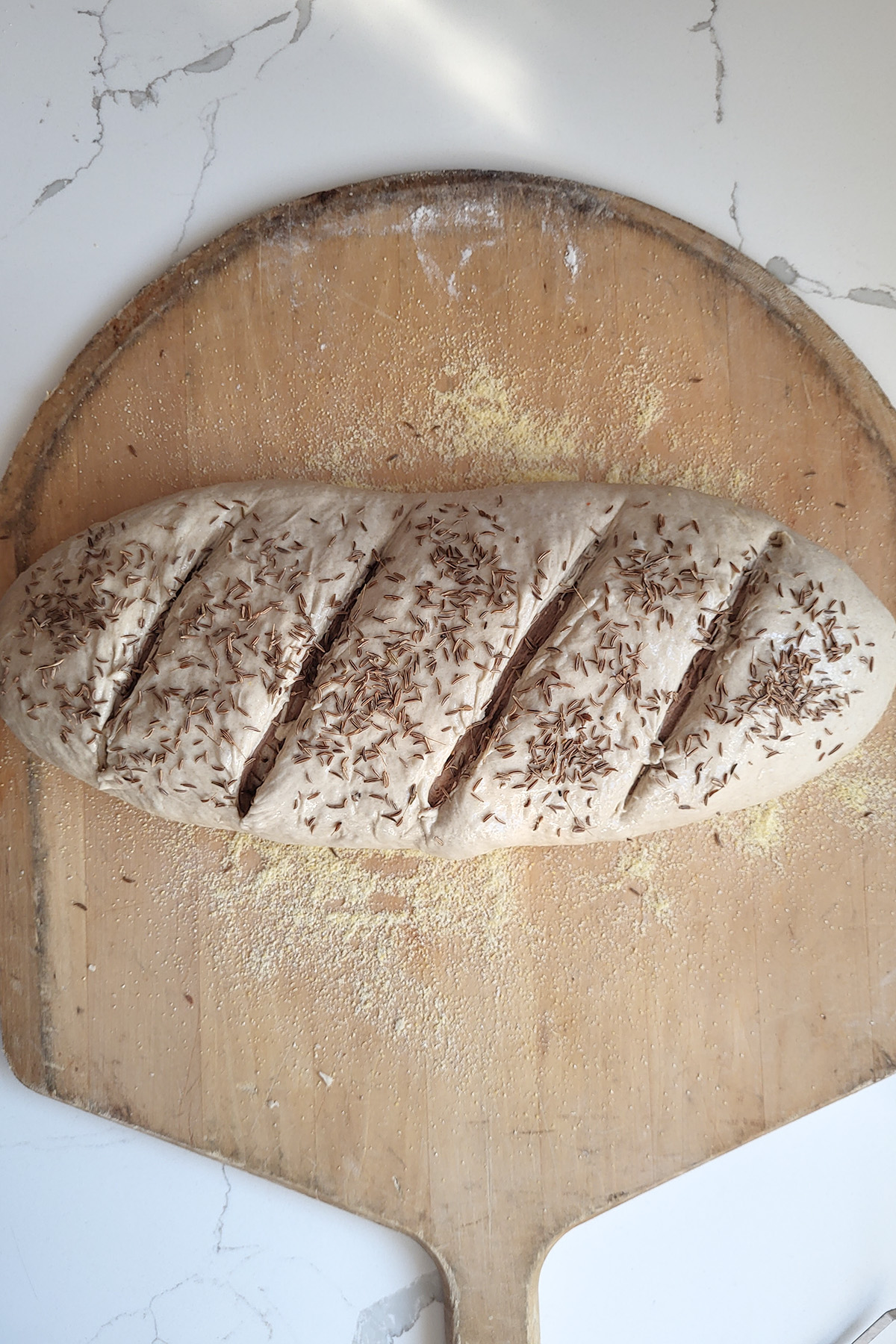 an unbaked loaf of marble rye on a wooden peel.