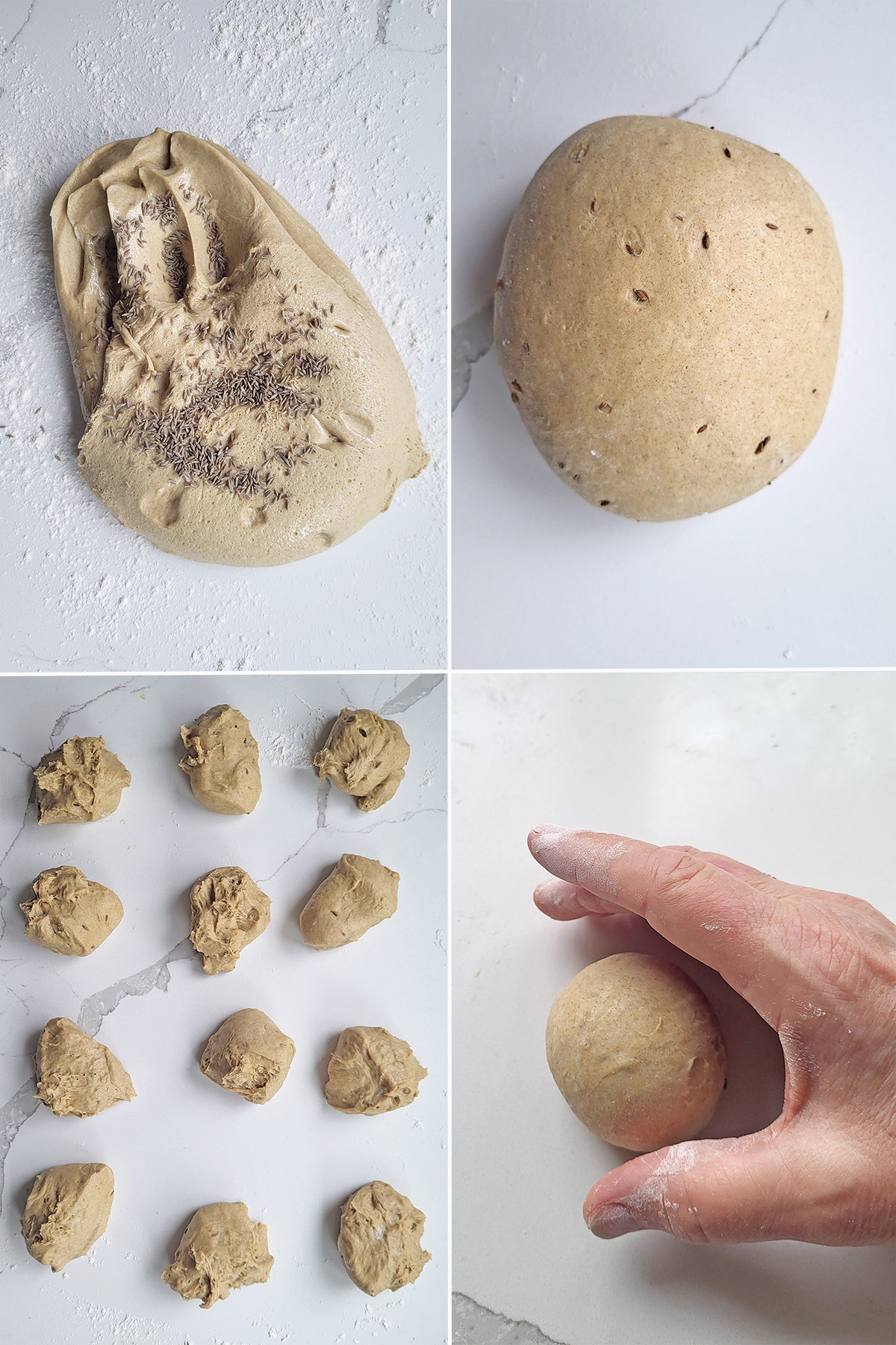rye roll dough with caraway seeds. 12 pieces of dough. a hand roll dough into a ball.