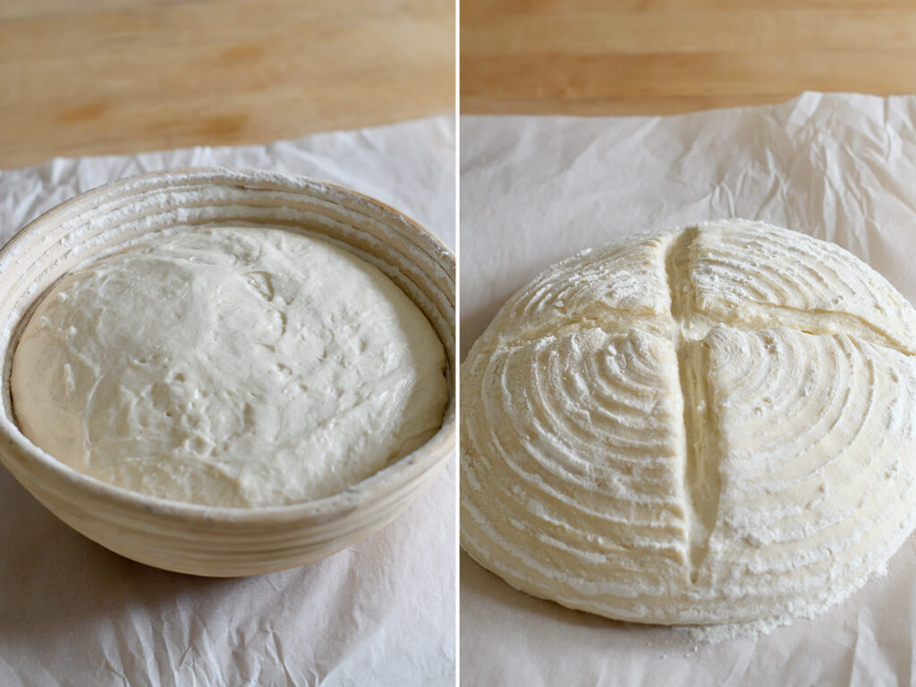 a bread dough boule in a basket then on parchment.