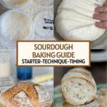 a pinterest image for a sourdough guide with text overlay.