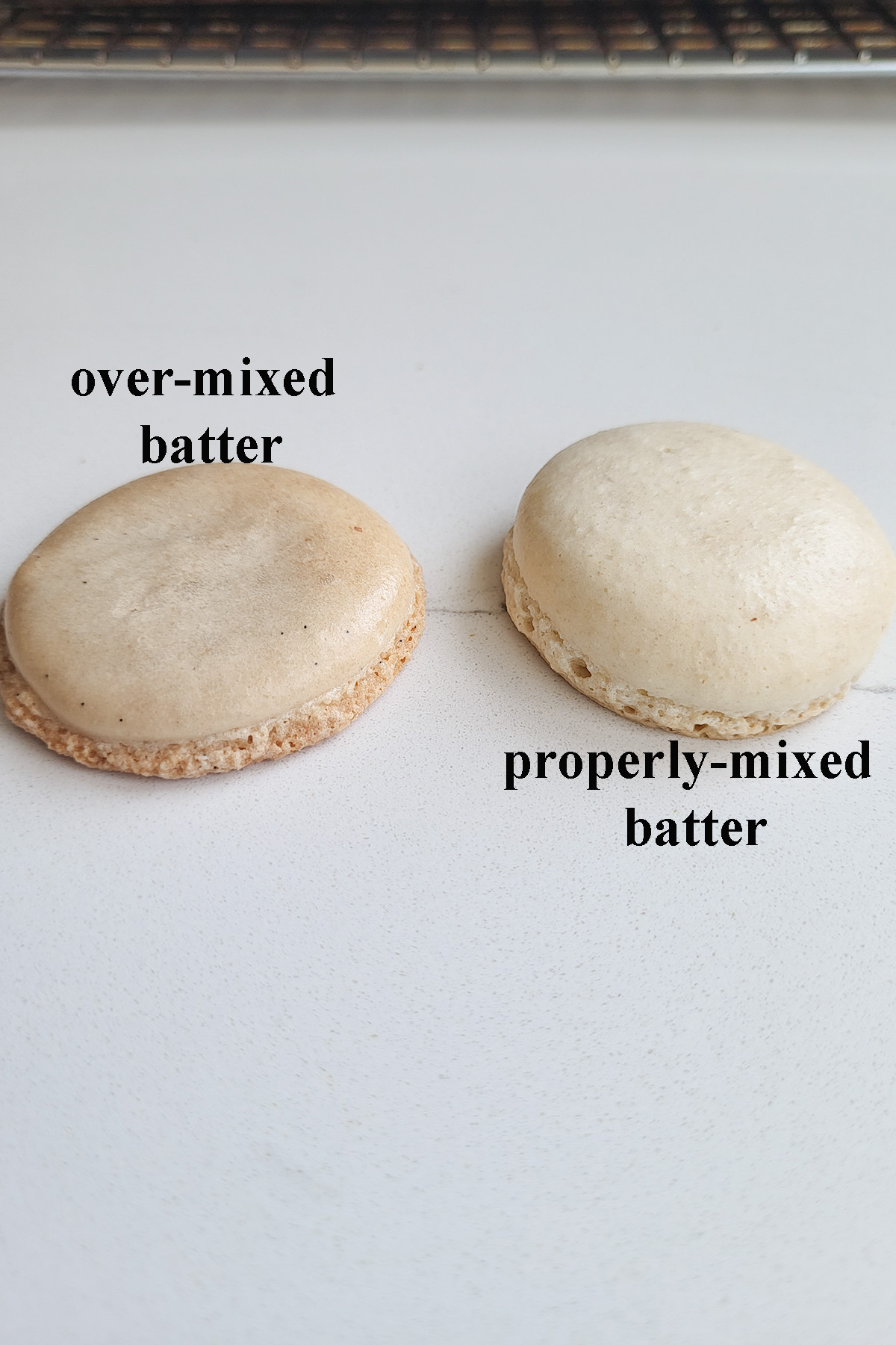 two macaron shells, one bown and flat, one rounded and pale.