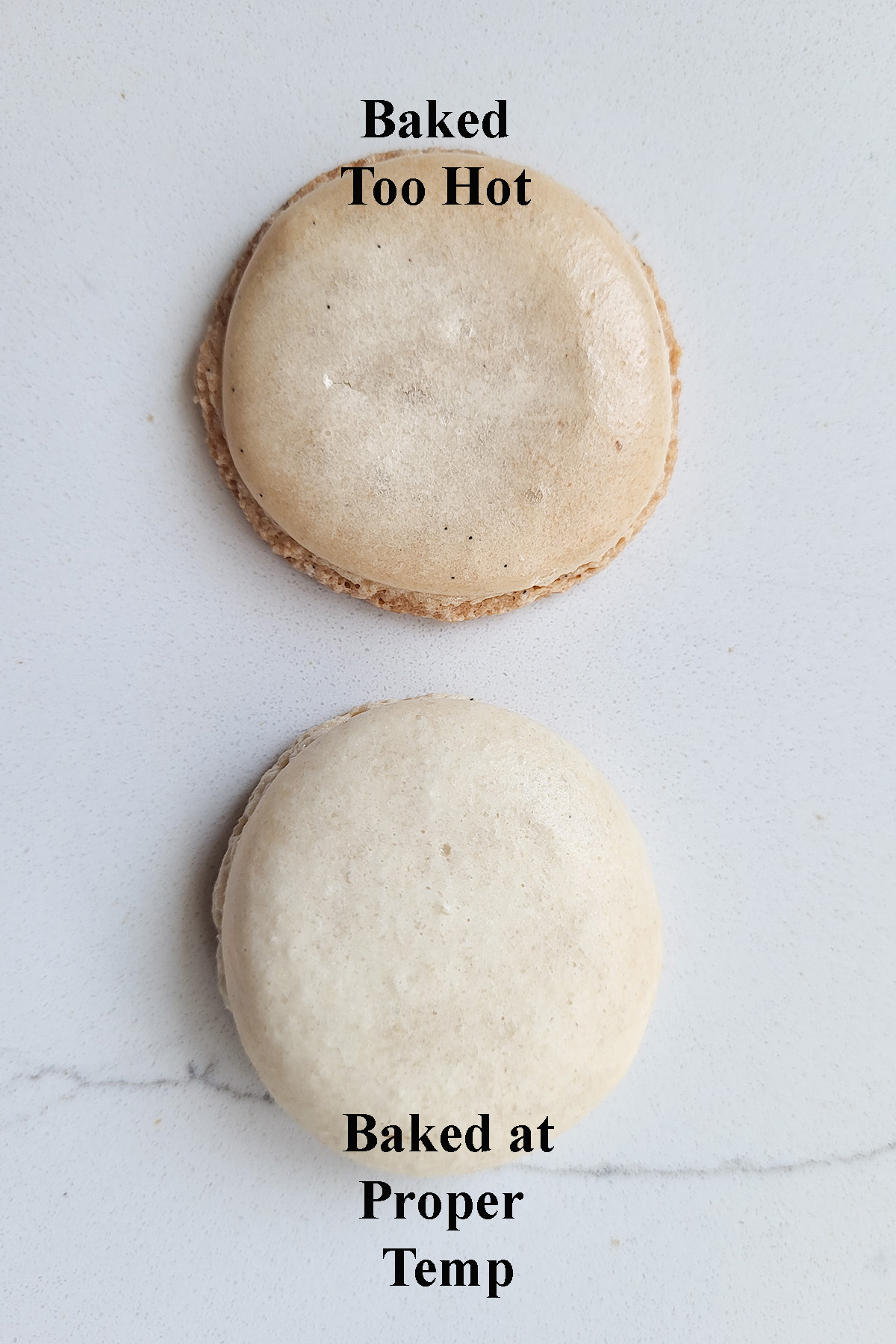 two macaron shells, one darker brown and one pale beige.