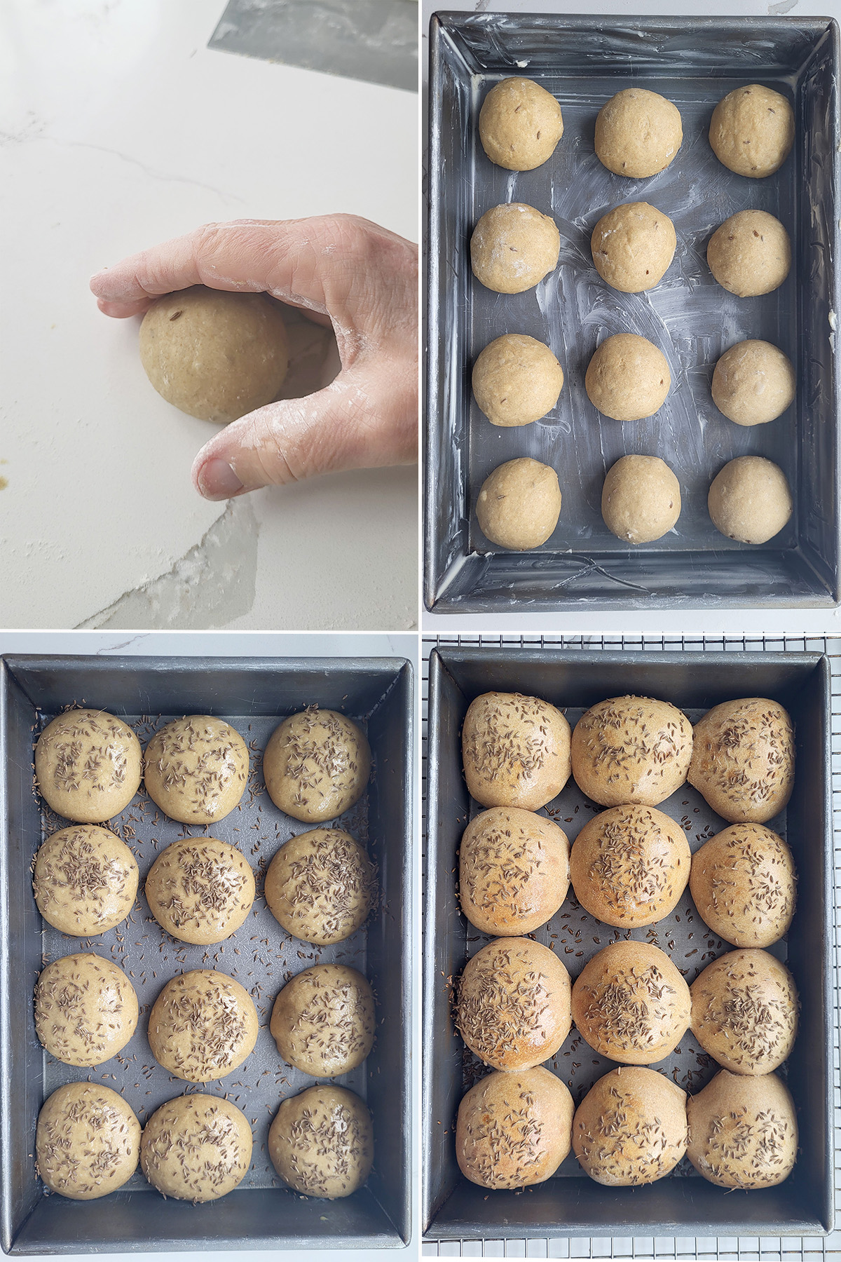shaping sourdough rye into balls. Set in the pan. Before and after baking.