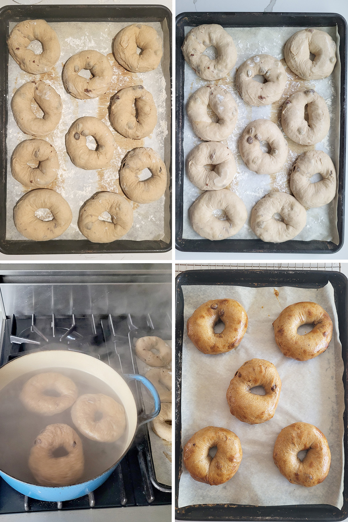 bagels on a sheet pan before and after rising. Bagels in boiling water. Baked bagels on a tray.