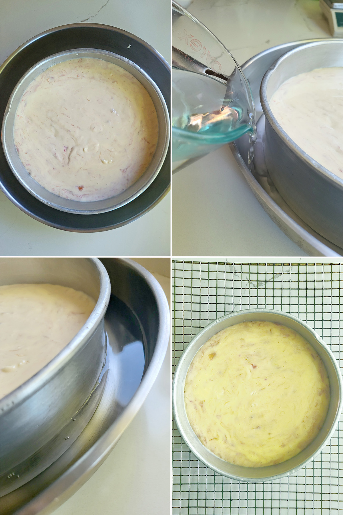 rhubarb cheesecake in a pan with water.