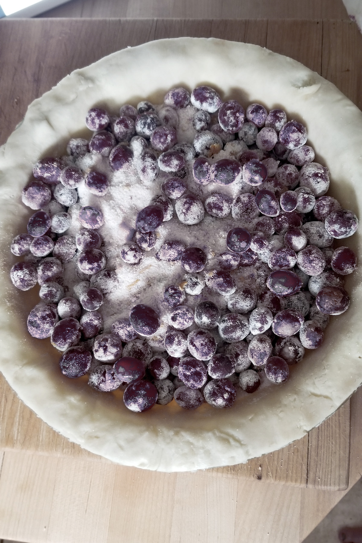 blueberries in an unbaked pie shell.