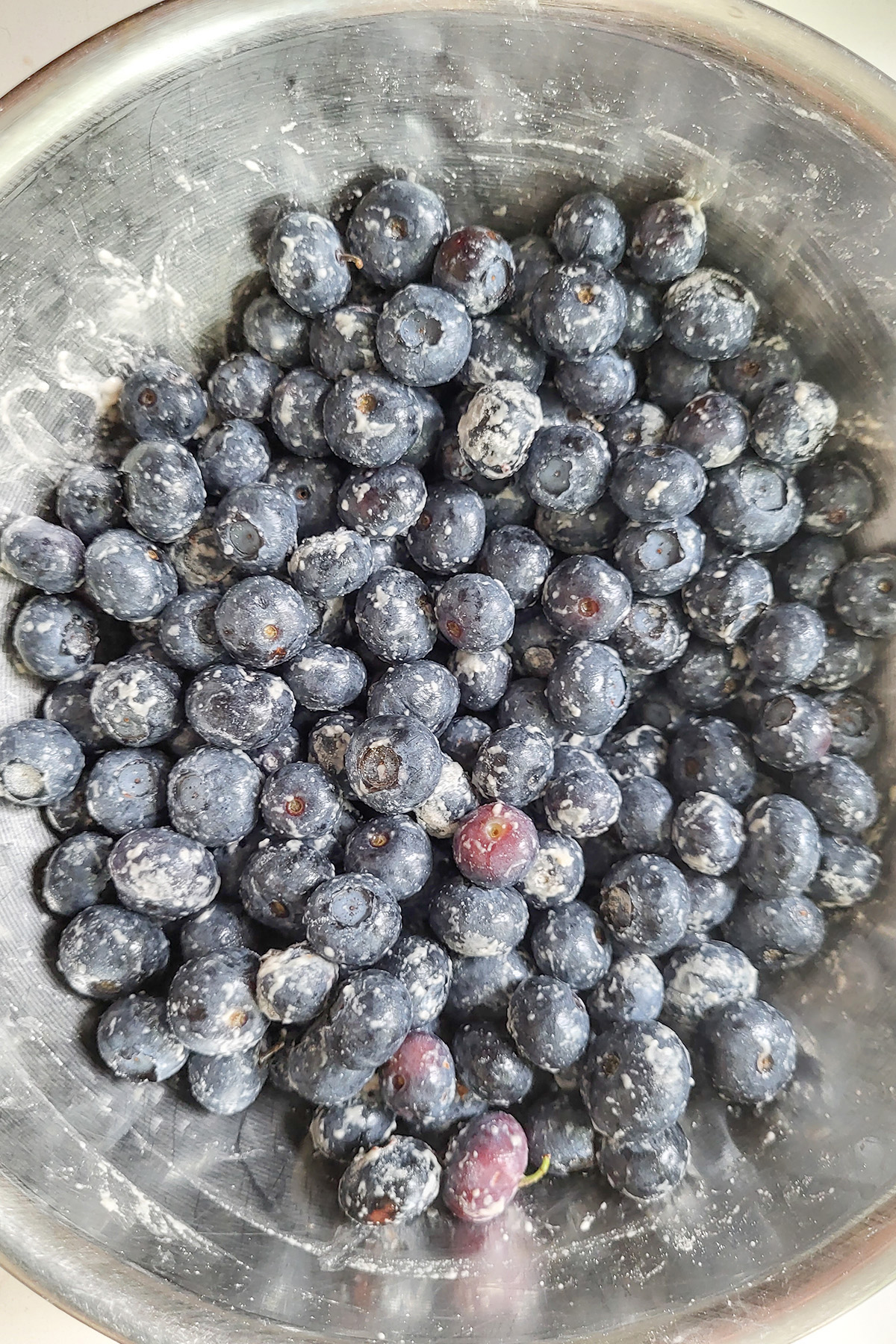 blueberries in a bowl.