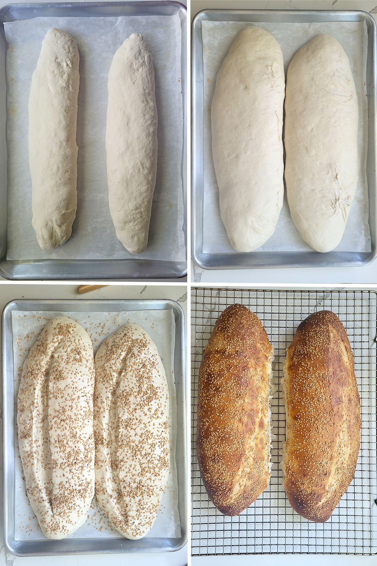sourdough italian bread before and after rising and before and after baking.