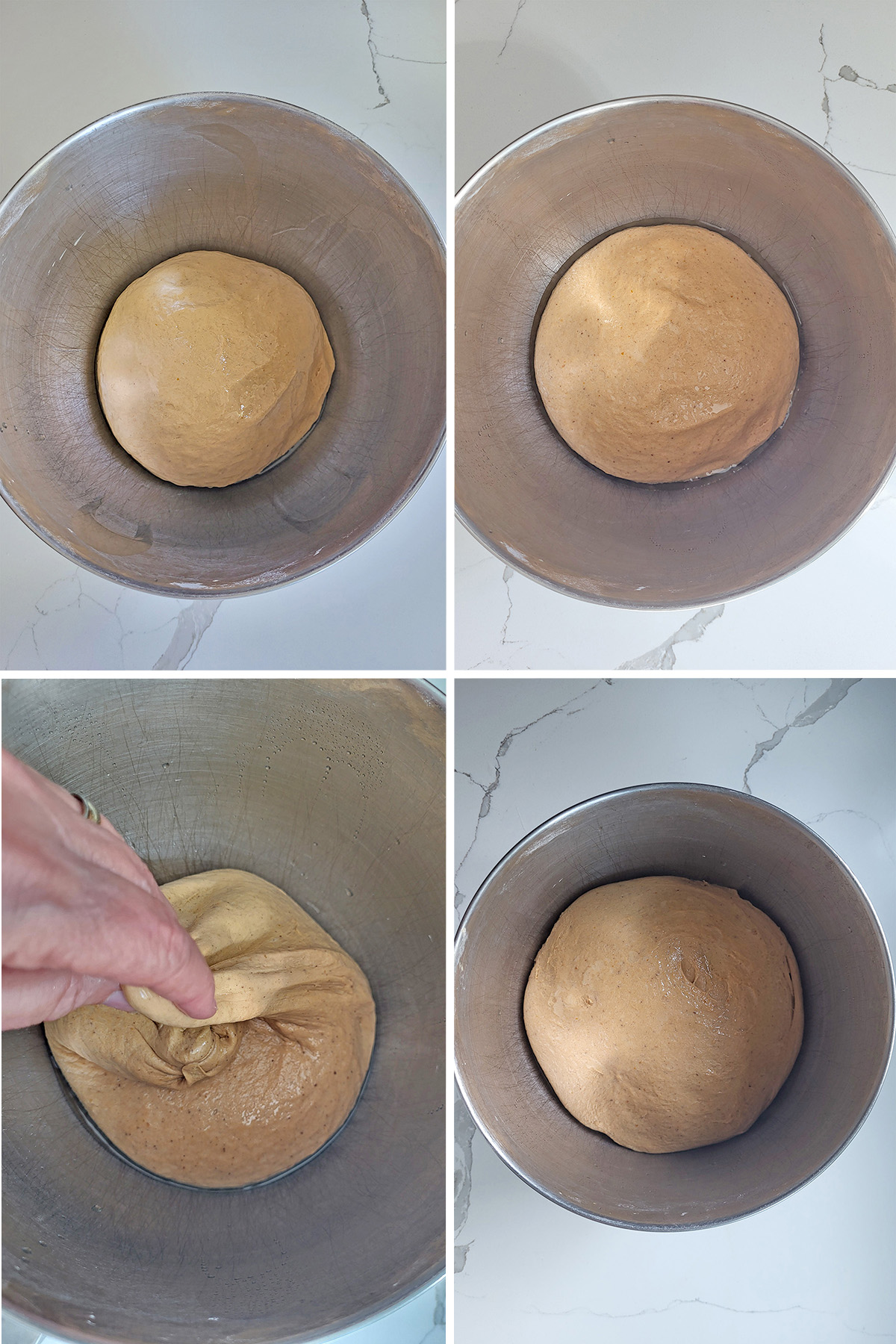 sourdough pumpkin bagel dough in a bowl with a hand folding it.