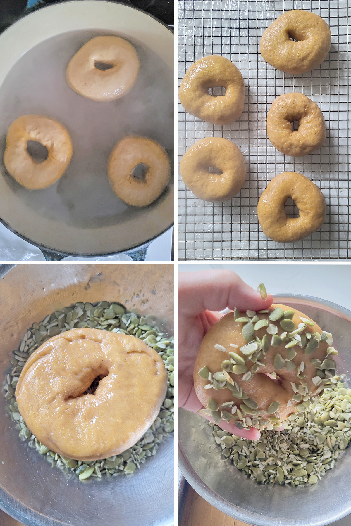 sourdough pumpkin bagels boiling in a pot and draining on a rack.