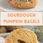 sourdough pumpkin bagel on a plate and a sliced sourdough pumpkin bagel on a plate.