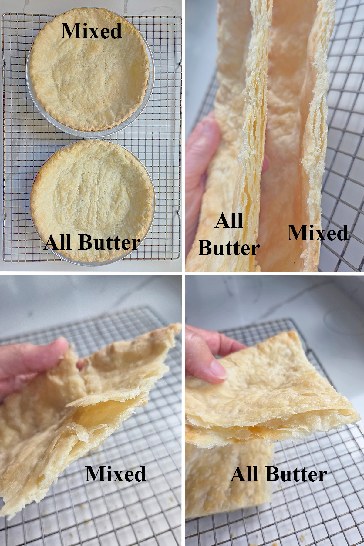 Blind-baked all butter pie crust and mixed-fat pie crust shown side by side, with close-ups of their flaky layers and broken pieces compared.