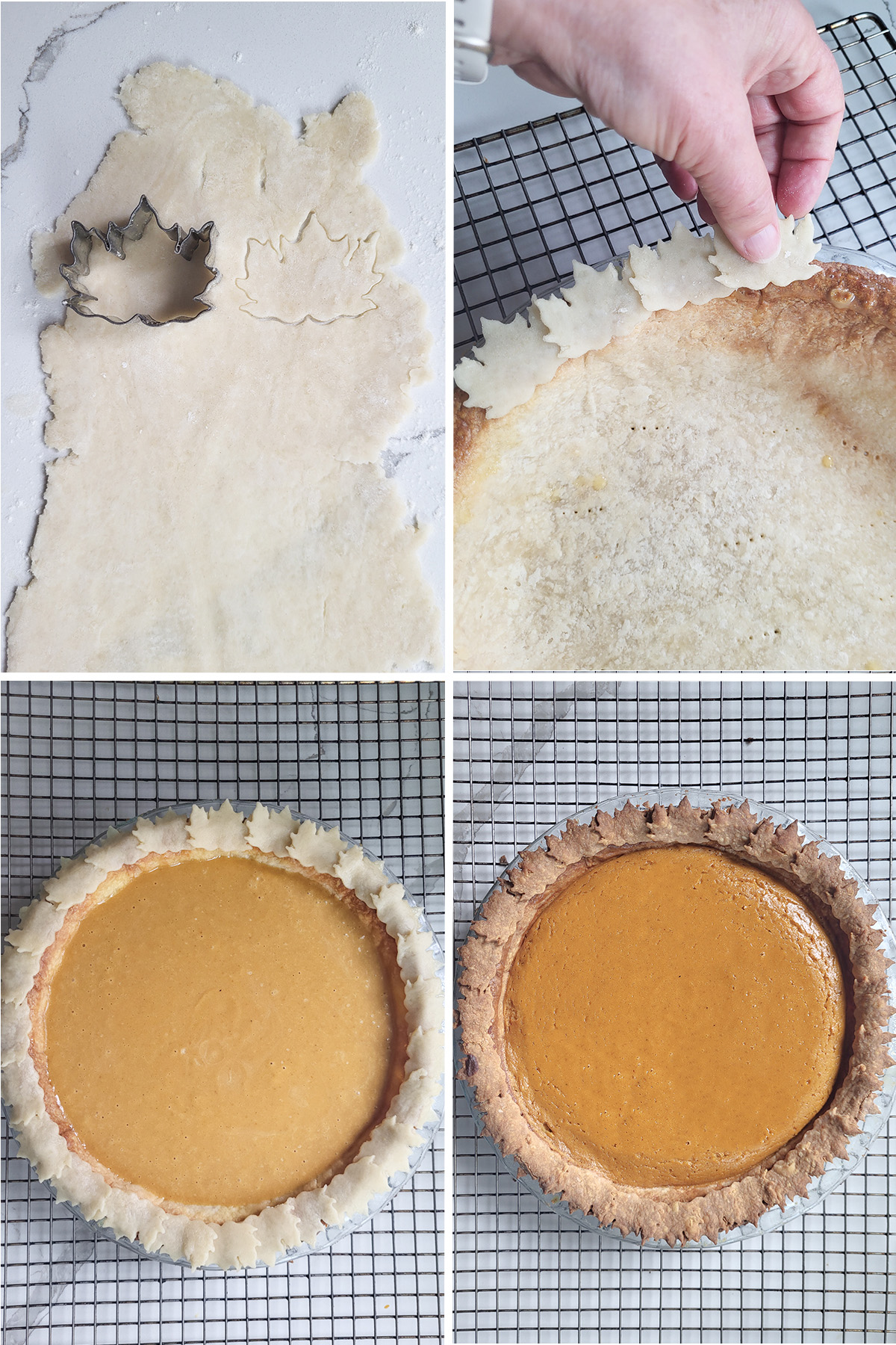 Four steps for making a pumpkin pie with a leaf border: cutting maple leaves from rolled pie dough scraps, placing the unbaked leaves around the rim of the par-baked crust, the unbaked pie filled with pumpkin custard and ringed with leaves, and the baked pumpkin pie with a golden-brown leaf border.